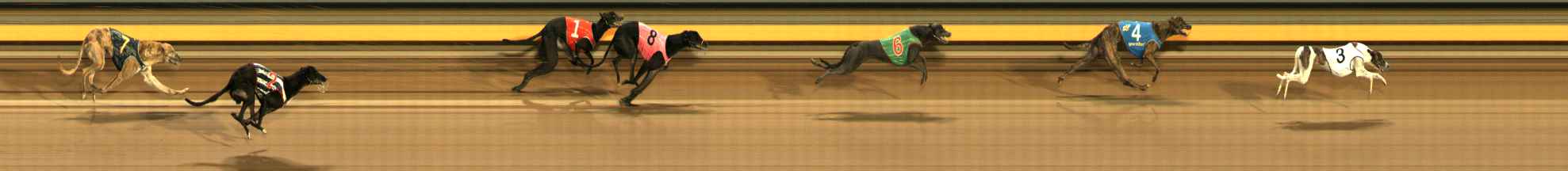 Race result finish photo